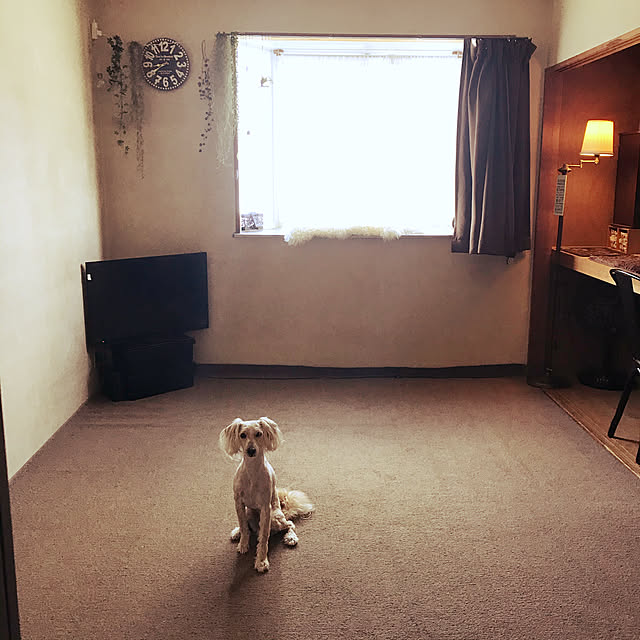 anさんの実例写真