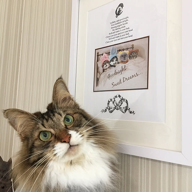 yuchiさんの実例写真