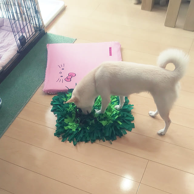 mmpoohさんの実例写真