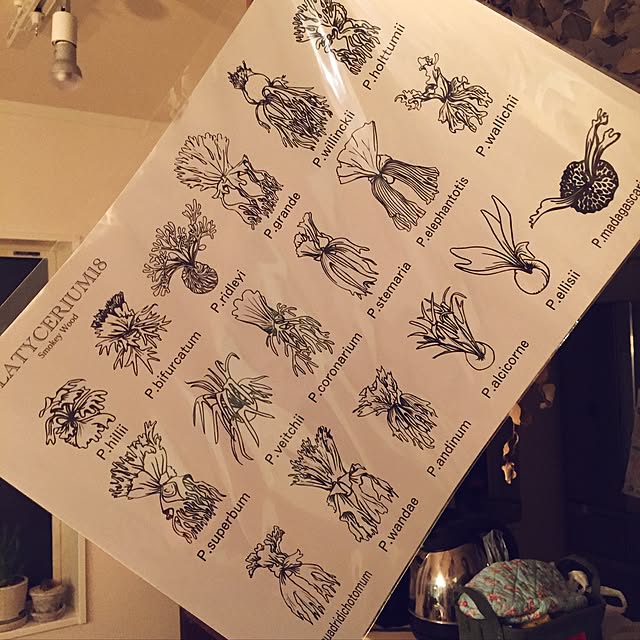M.okuさんの実例写真