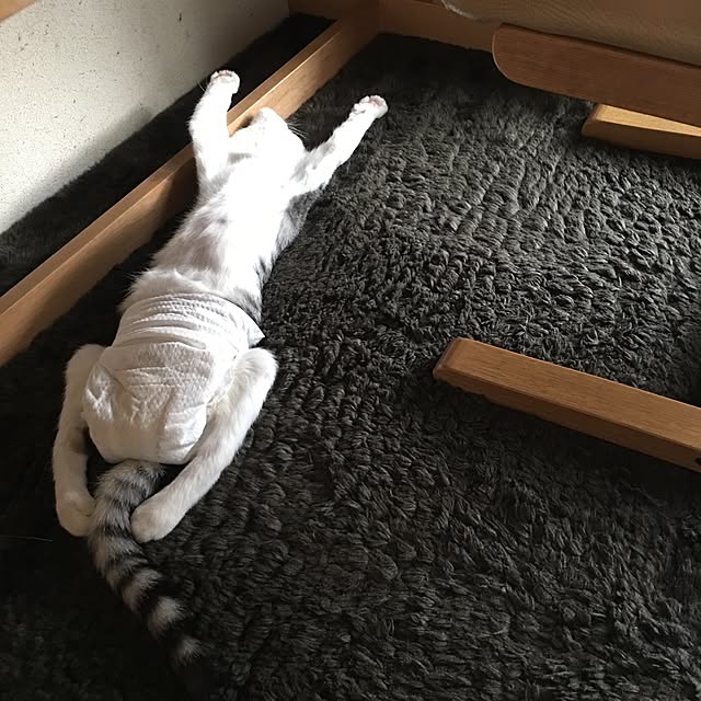 ALPSさんの実例写真