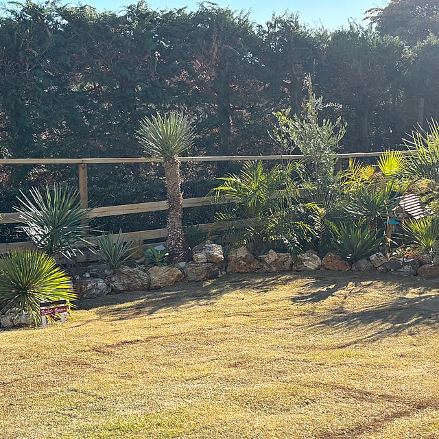 bonjiri0824さんの実例写真