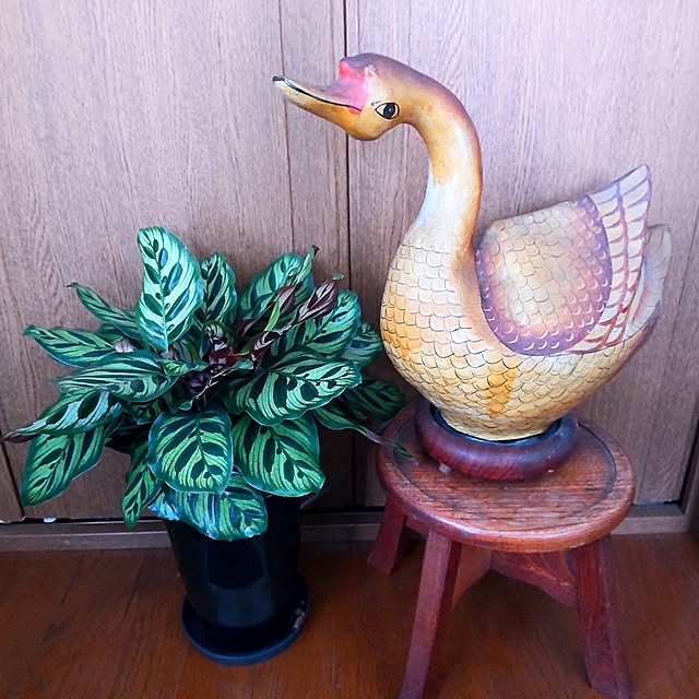 NSDさんの実例写真