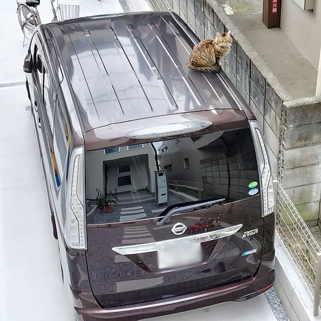 tamaさんの実例写真