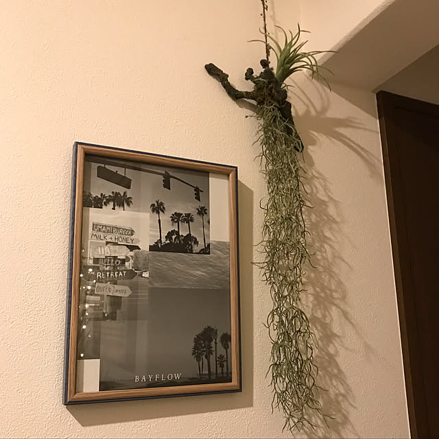 ange_lohasさんの実例写真