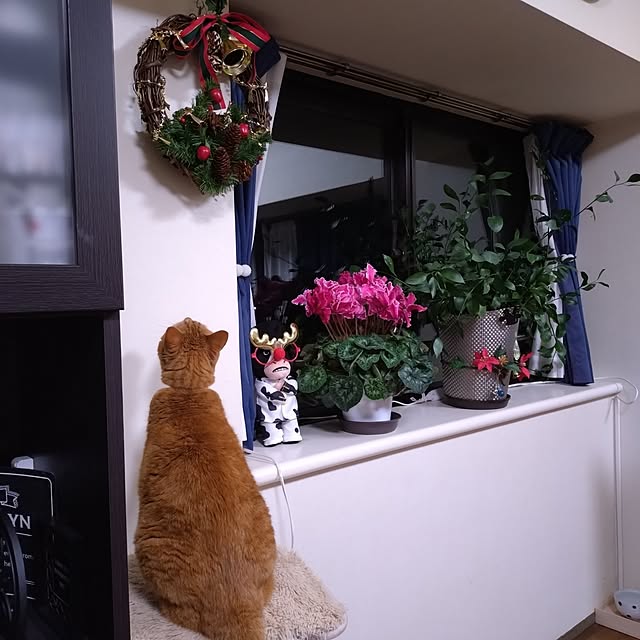 NOAHさんの実例写真