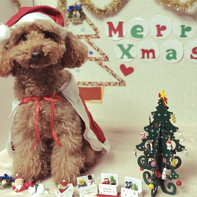 midayoooさんの実例写真