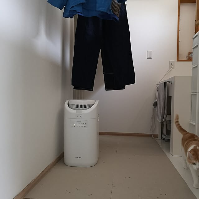 koyurizuさんの実例写真