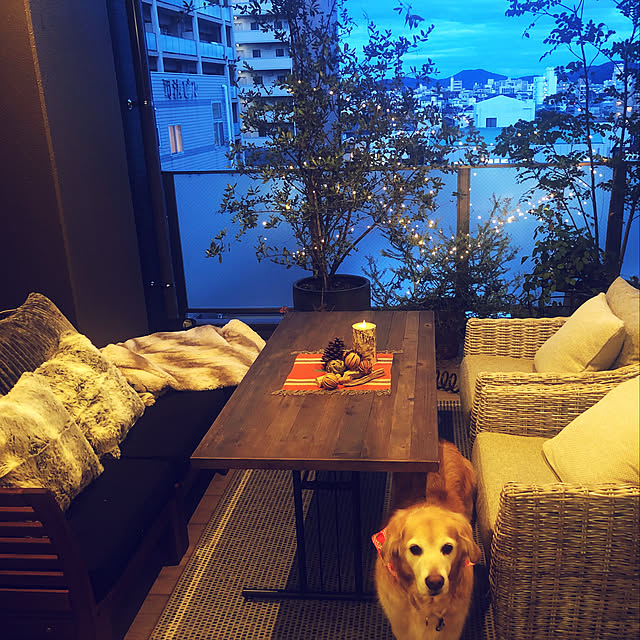potiさんの実例写真