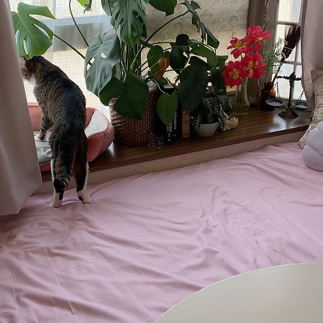 Rabbitさんの部屋