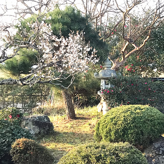 Nagakoさんの実例写真