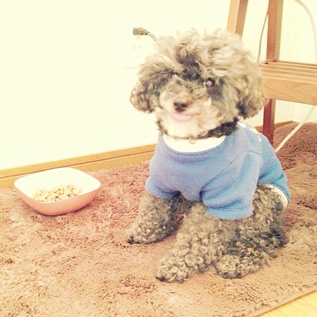 maioさんの実例写真