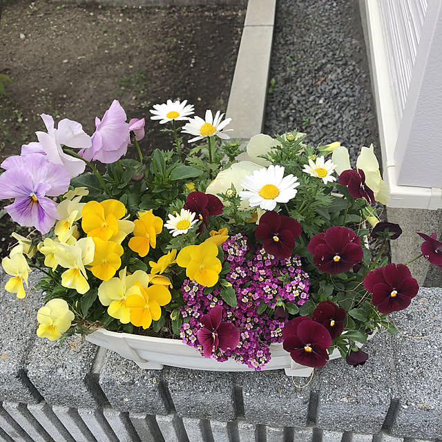 michkoさんの実例写真