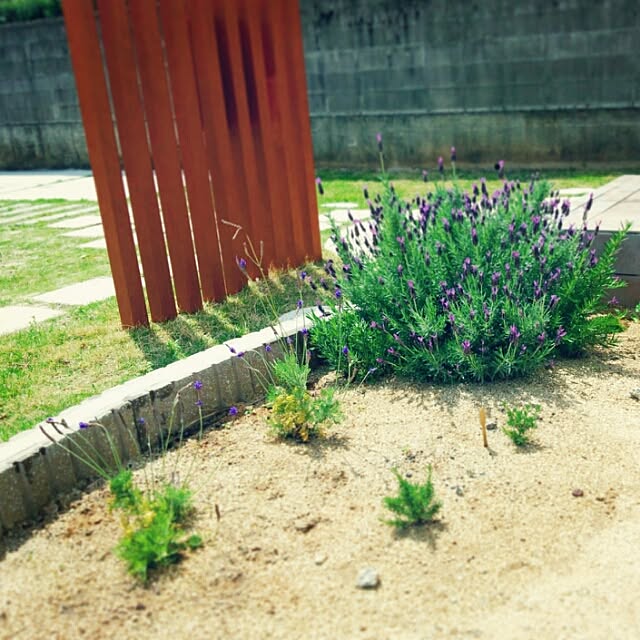 _asa_3_1さんの実例写真
