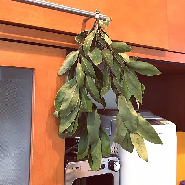 nomnom888さんの実例写真