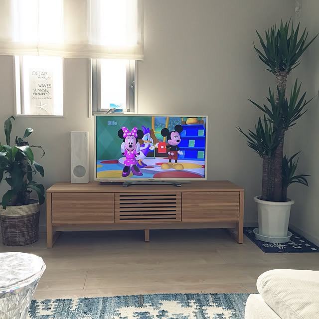 acocoさんの実例写真