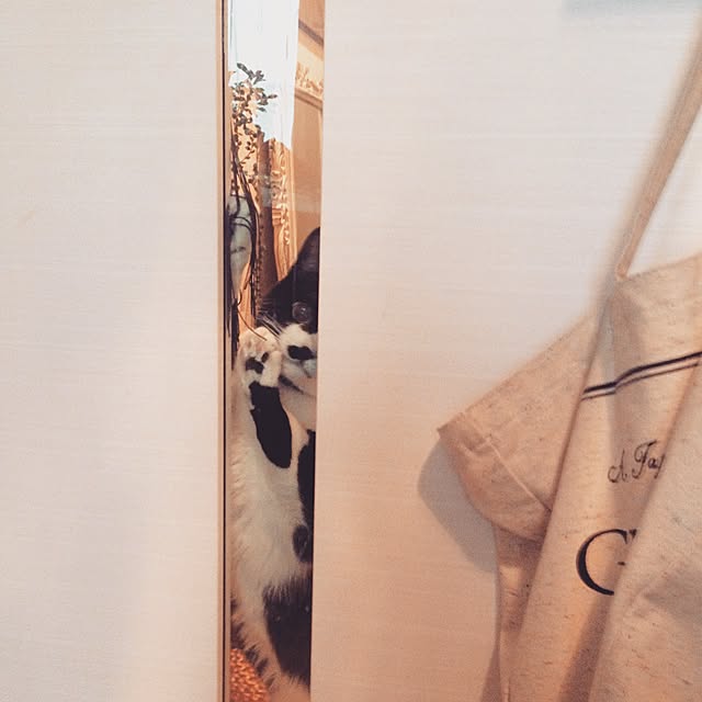 mikasakuさんの実例写真