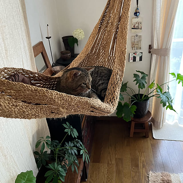kuuさんの実例写真