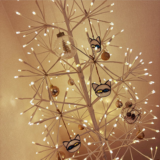 cecil..さんの実例写真