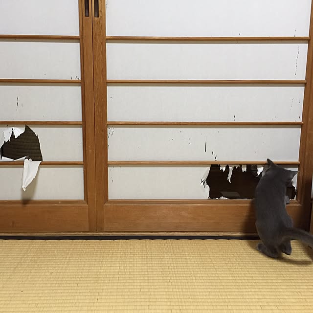 KAZさんの実例写真