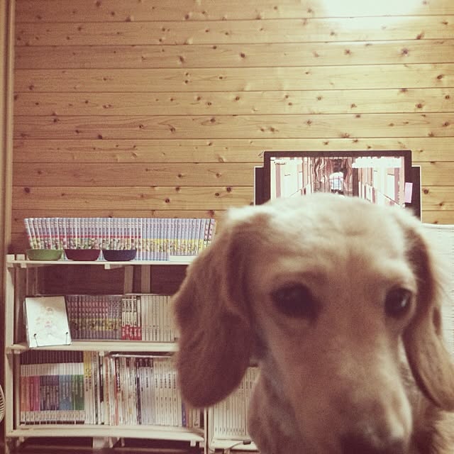 kinakotoさんの実例写真