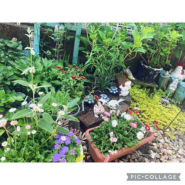 CoCo0617さんの部屋