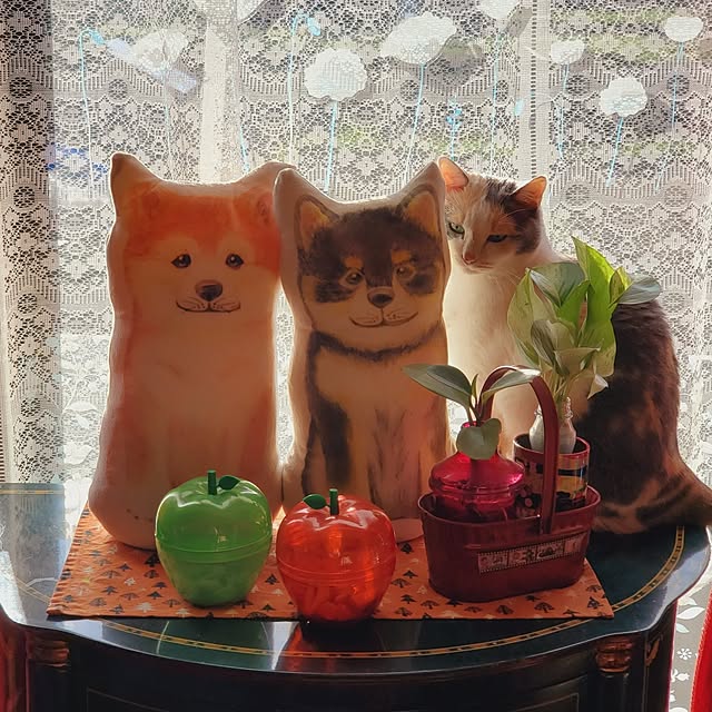 kumutanさんの実例写真