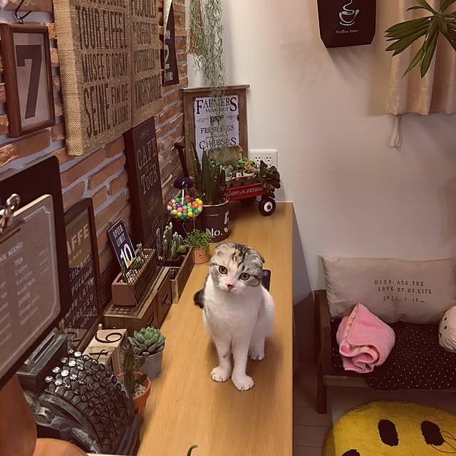 yokkochanさんの実例写真