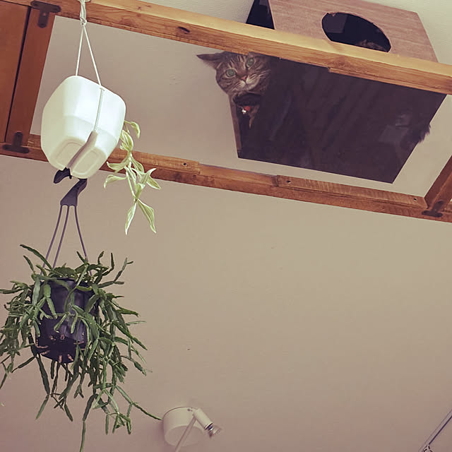 masamasaさんの部屋