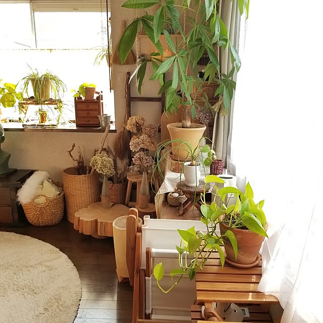 midoriさんの部屋