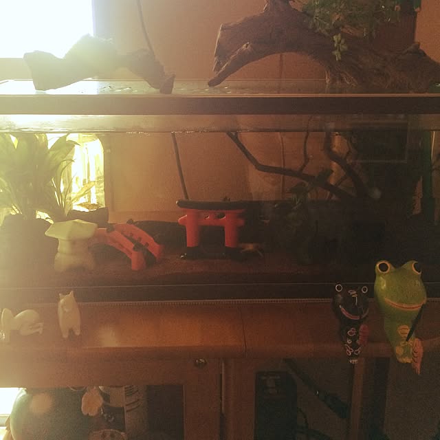 Vanillaさんの実例写真
