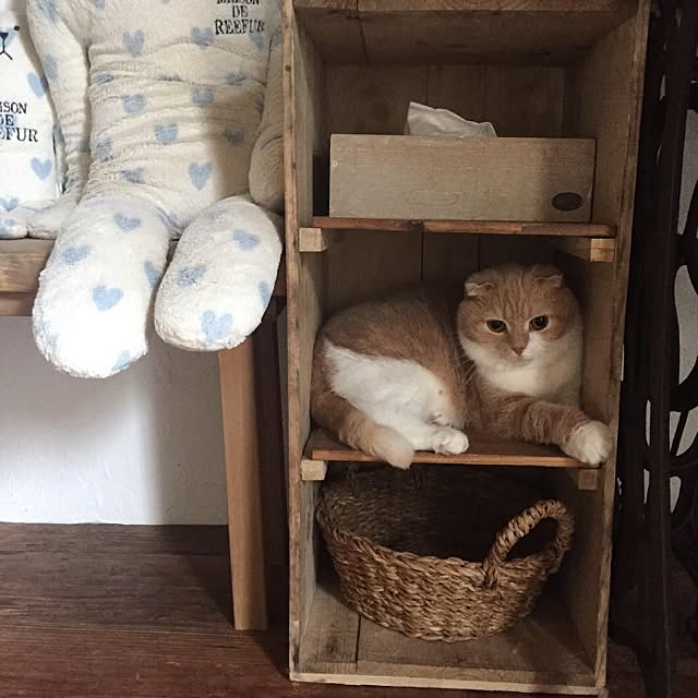 runtenさんの実例写真