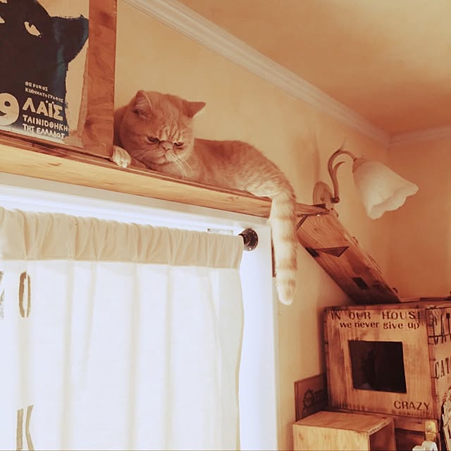 anmituさんの実例写真