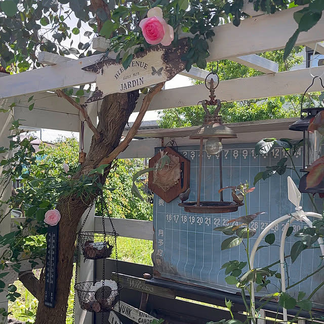 mayumiさんの部屋