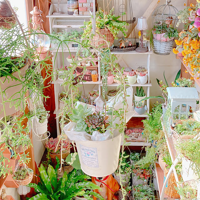 Hanakaさんの部屋