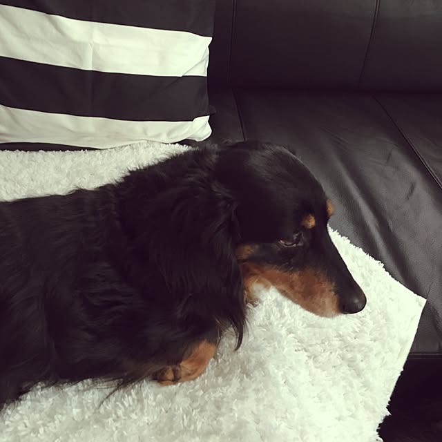 Yukaさんの実例写真