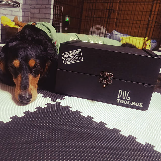 reotanさんの実例写真