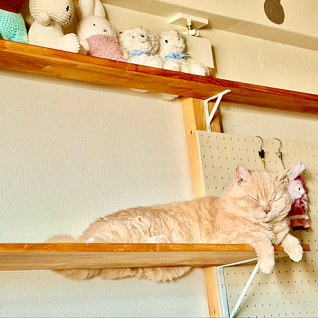 naokoさんの部屋