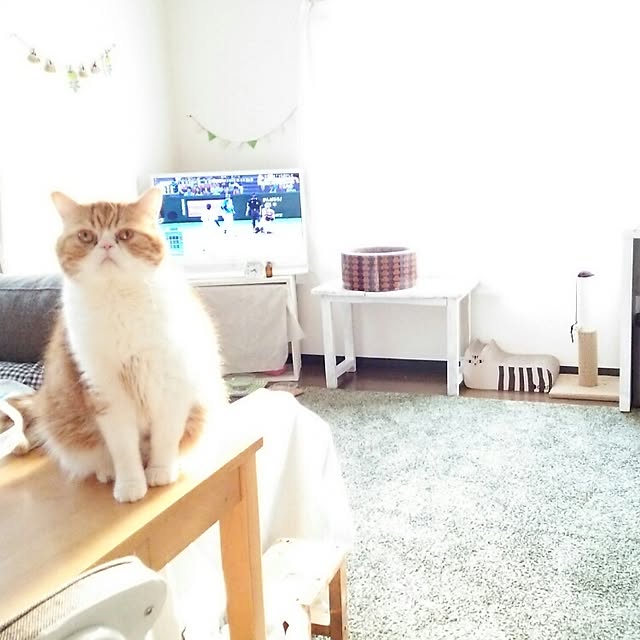 otoさんの実例写真