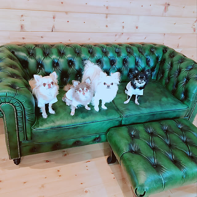 Marieさんの実例写真