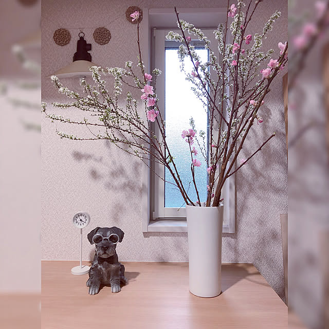 P-conutsさんの実例写真