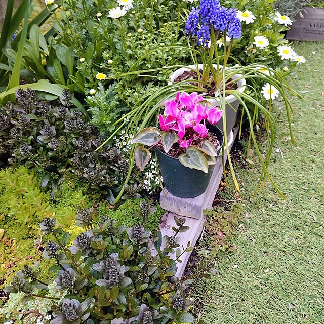 coconathuさんの実例写真