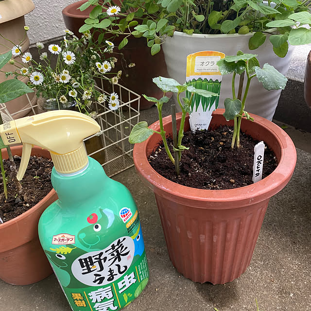 mamiさんの実例写真