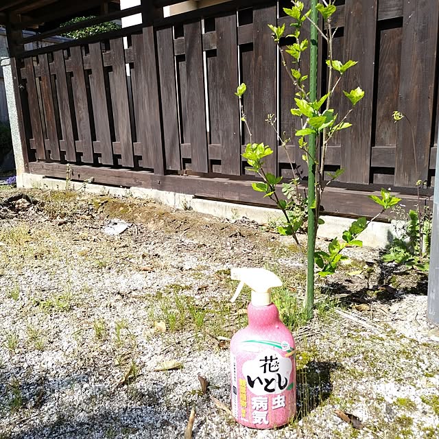 kuririnmamaさんの実例写真