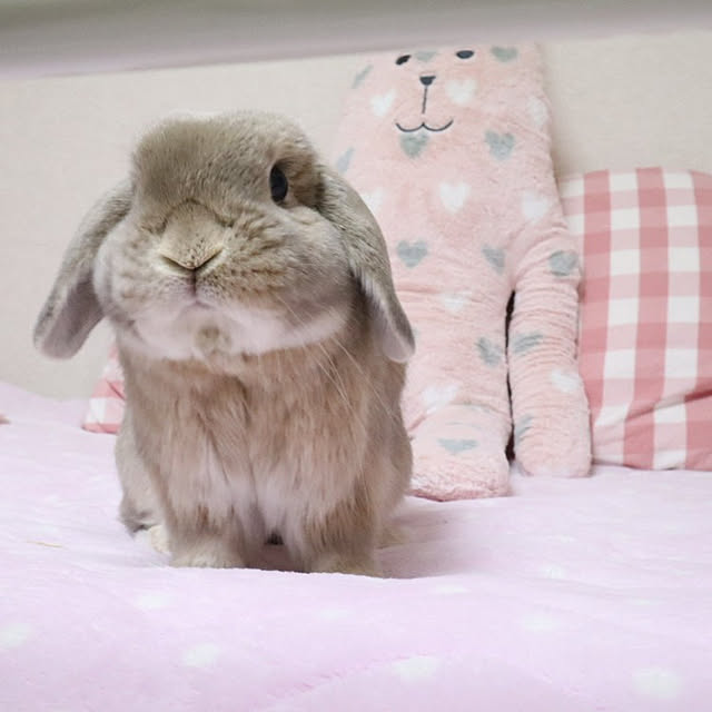 naominさんの実例写真