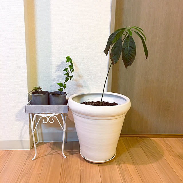 koricoさんの実例写真