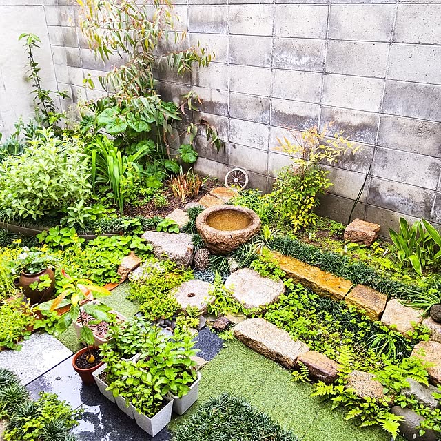 faunさんの部屋