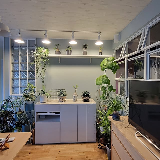 nonbiri_house_さんの実例写真
