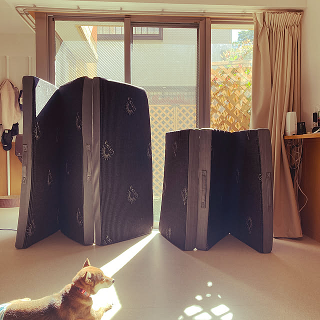 nocomomさんの実例写真