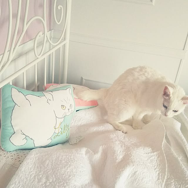 sakuraさんの実例写真